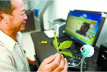 《農(nóng)業(yè)電子商務試點方案》:農(nóng)業(yè)部300億補貼下發(fā)