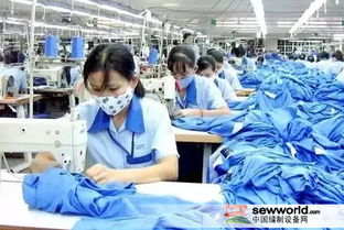 原料價(jià)格上漲背景下服裝企業(yè)雙11應(yīng)對(duì)策略